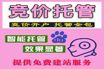 行业专家解析SEM托管代运营的成功要素