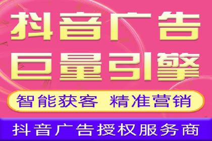 企业SEM服务实战案例解析